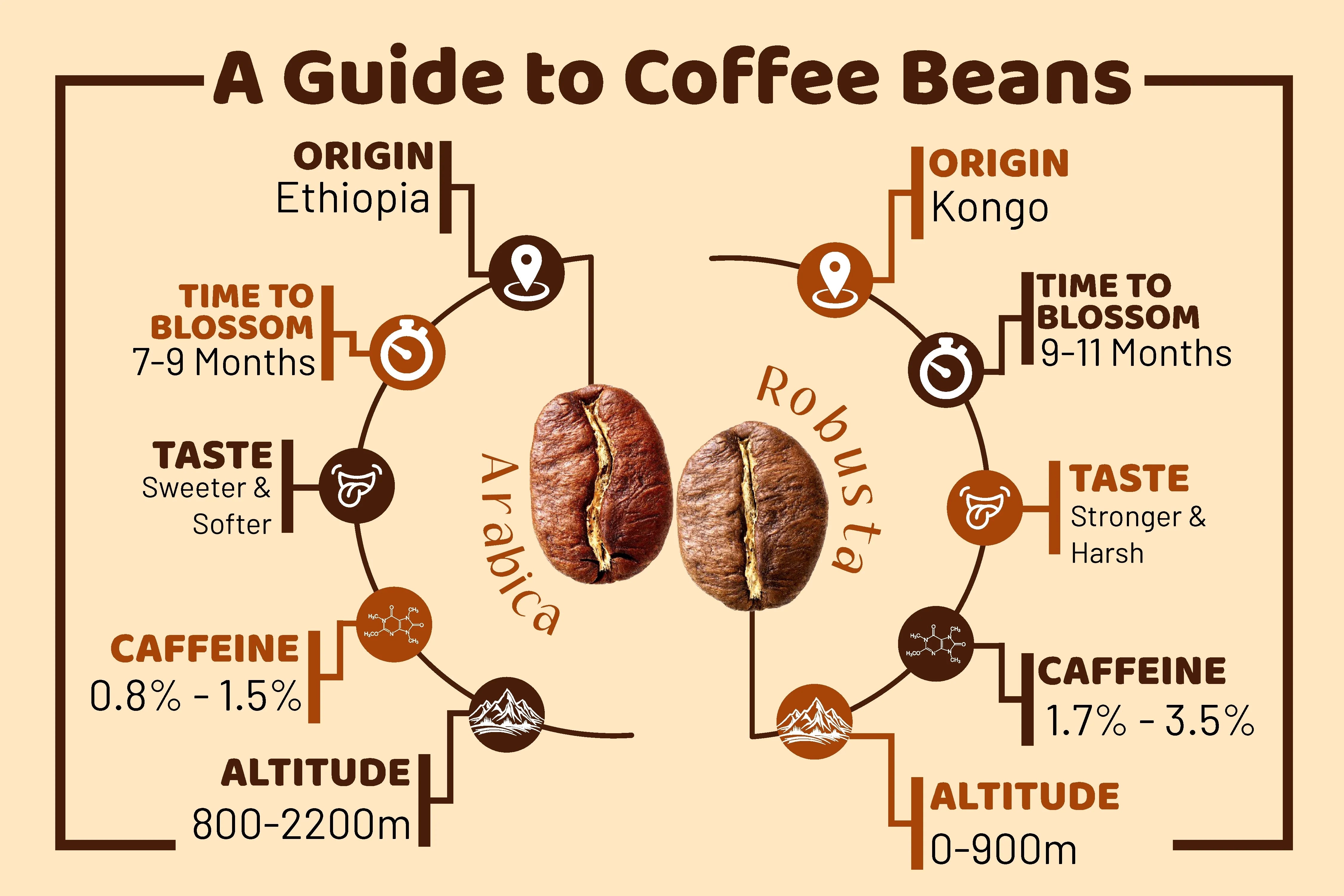 Coffee bean deals comparison